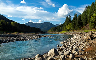 rocks on the side of the river during daytime, santiam