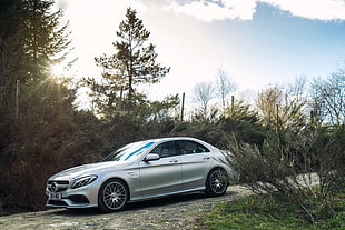 photo of grey Mercedes-Benz sedan near green leaf trees during daytime