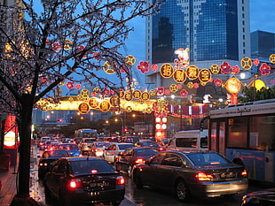 red Chinese lanterns near buildings HD wallpaper