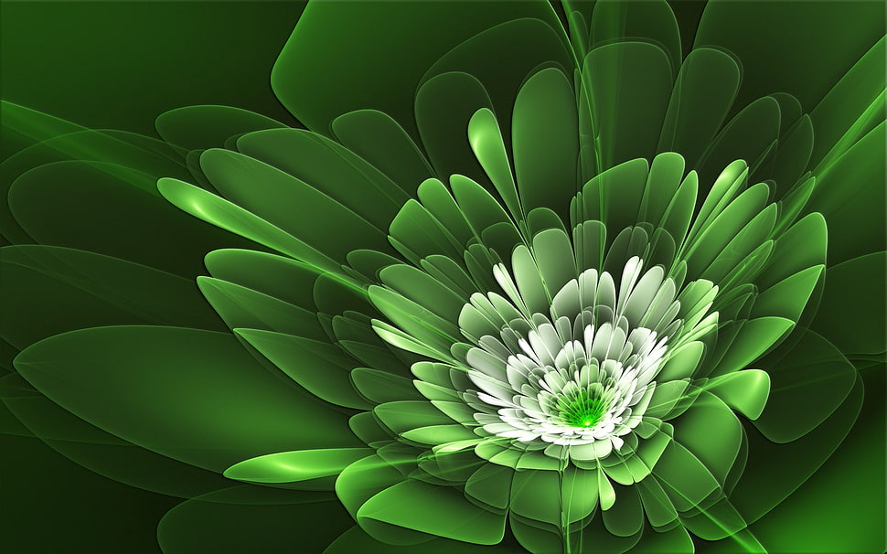 green and white illustration plant HD wallpaper