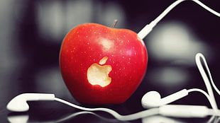 apple fruit and earphones HD wallpaper