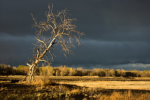 photo of desert during cloudy day