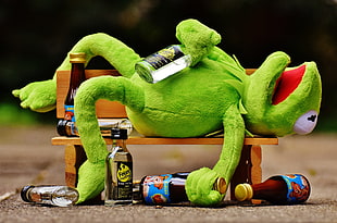 hangover frog lying on brown wooden bench at daytime HD wallpaper
