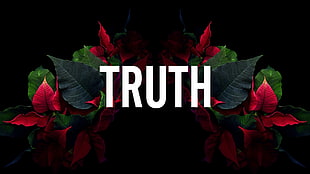red flowers with Truth text overlay, leaves, typography, artwork HD wallpaper
