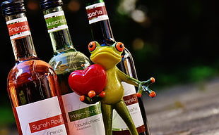 green frog in front of three glass bottles photo during daytime HD wallpaper