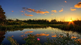 green grass field, nature, sunset, lake