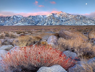 landscape photography of mountain covered with snow