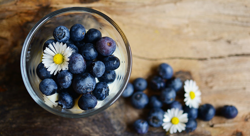 Blue Berries in clear drinking glass with white flower HD wallpaper