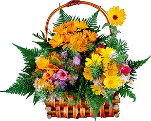 basket of assorted petaled flowers HD wallpaper