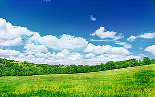 green field under white clouds and blue sky at daytime HD wallpaper
