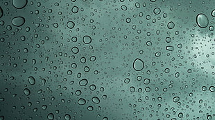 water drops in closeup photography