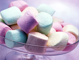 assorted color marshmallows on glass bowl HD wallpaper