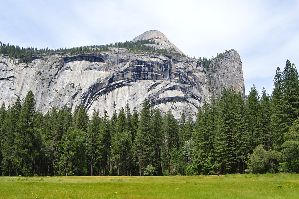 gray rock mountain above green pine trees HD wallpaper