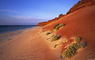 brown and green hill near seashore at daytime HD wallpaper