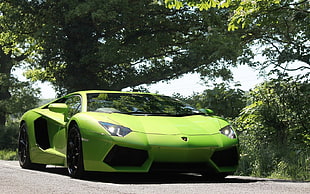 green supercar surrounded by green leaf trees