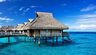 beige wooden huts, landscape, nature, photography, resort