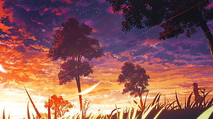 brown leaf trees, sky, anime, sunset HD wallpaper