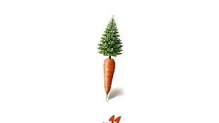 carrot and pine tree illustration HD wallpaper