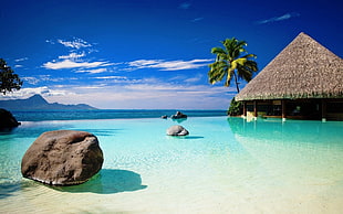 brown gazebo on beach