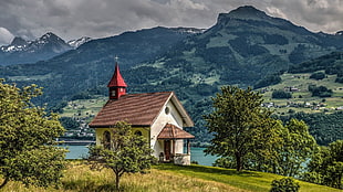 brown and white house, nature, architecture, landscape, old building