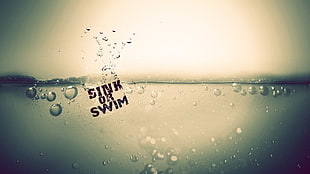 Sink of Swim text, quote, liquid, digital art, typography HD wallpaper
