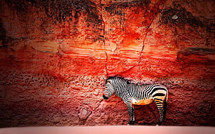 red and white zebra print textile, animals, zebras, rocks, creativity HD wallpaper