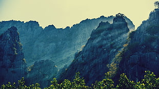 mountain and green trees, landscape, nature, mountains