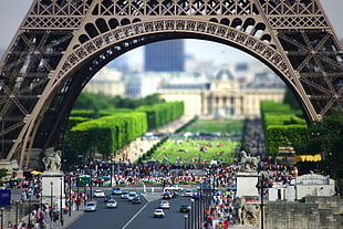 white and black cars near group of people