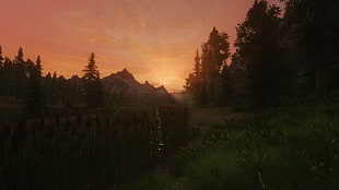 green grasses and green leafed trees, video games, The Elder Scrolls V: Skyrim, ENB HD wallpaper