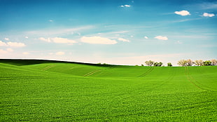 green grass field, landscape, nature, clouds, field HD wallpaper