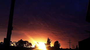 silhouette of trees, sun rays, sunset