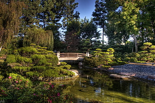 brown footbridge surrounded by trees HD wallpaper