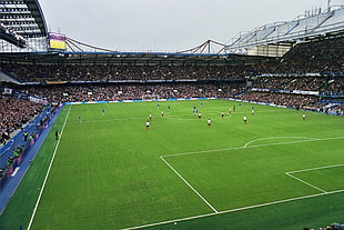 soccer field, Chelsea FC, Soccer Field, stadium, soccer