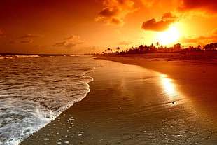 brown and white wooden board, nature, sea, beach, Sun