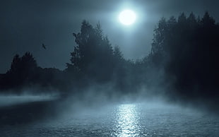 moon and trees, nature, landscape, mist, trees