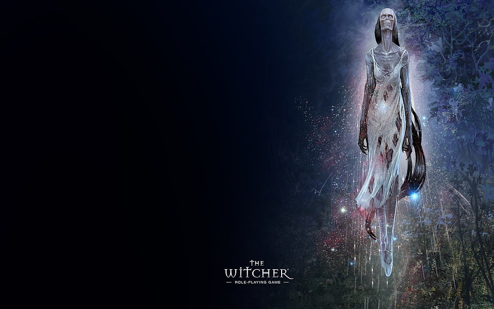 Witcher poster HD wallpaper