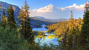 river surrounded by trees under blue sky HD wallpaper