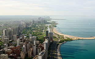 aerial photography of city beside body of water, cityscape, building, sea, road