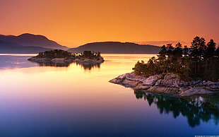 green tree, sunset, photography, water, lake