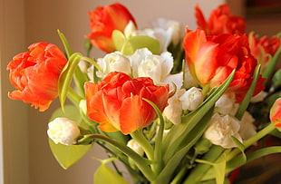orange Tulip flowers bouquet HD wallpaper
