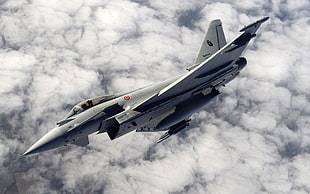 gray fighter jet, aircraft, Eurofighter Typhoon, military aircraft HD wallpaper