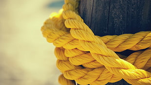 yellow rope at daytime HD wallpaper