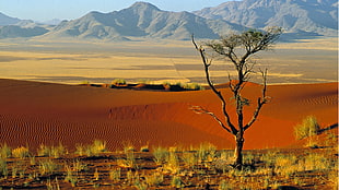 desert, nature, landscape, mountains