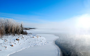 seashore, landscape, winter, nature, ice