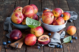 red apples on white ceramic bowls