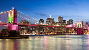 brown and white concrete building, USA, New York City, bridge, Brooklyn Bridge