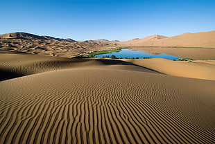 landscape photography of desert