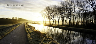 photography of grey road beside river under sunset