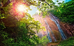 waterfall during daytime near the tree HD wallpaper