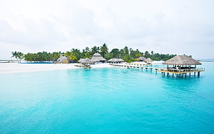 beach near island